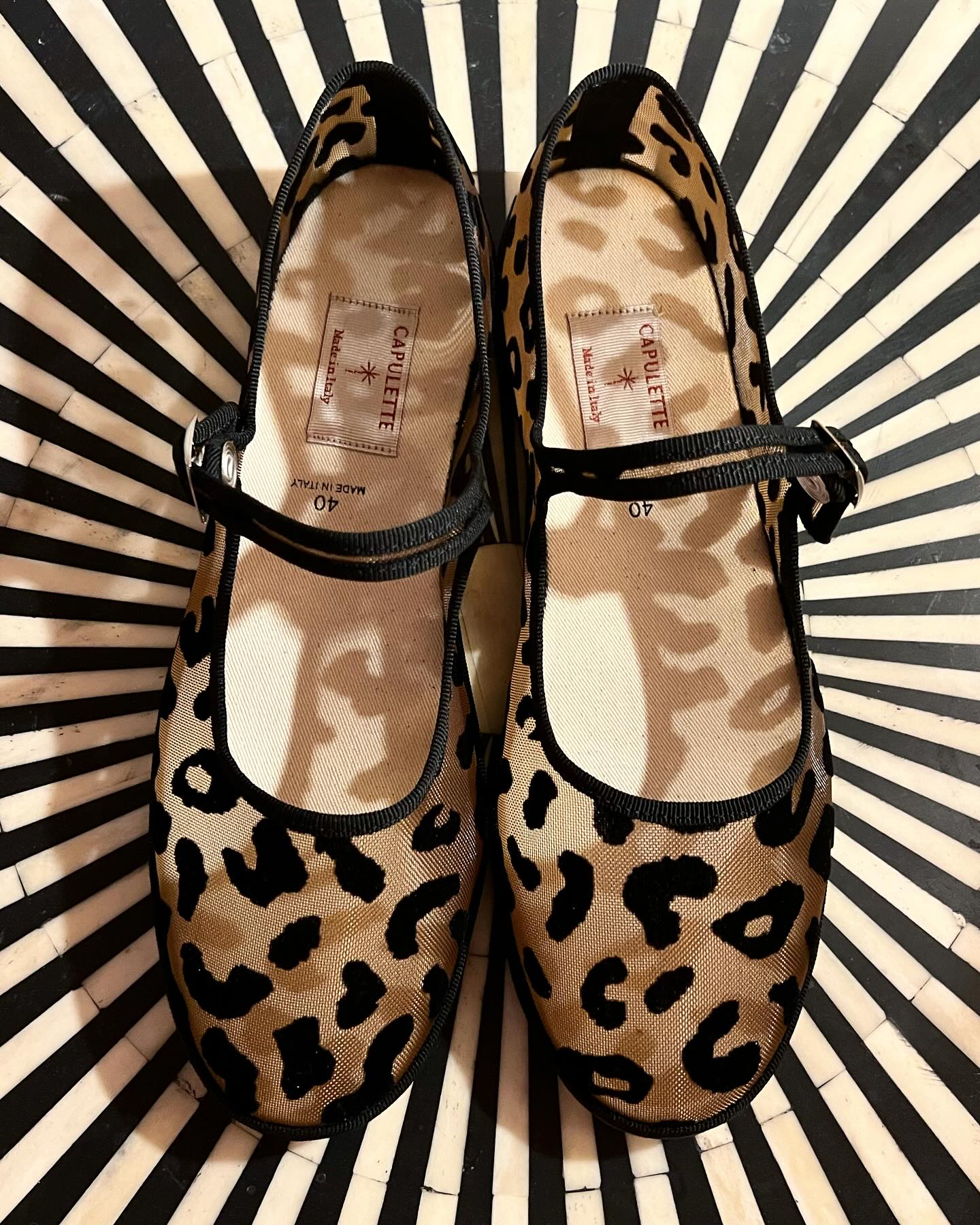 Bambina Serengeti Sheer