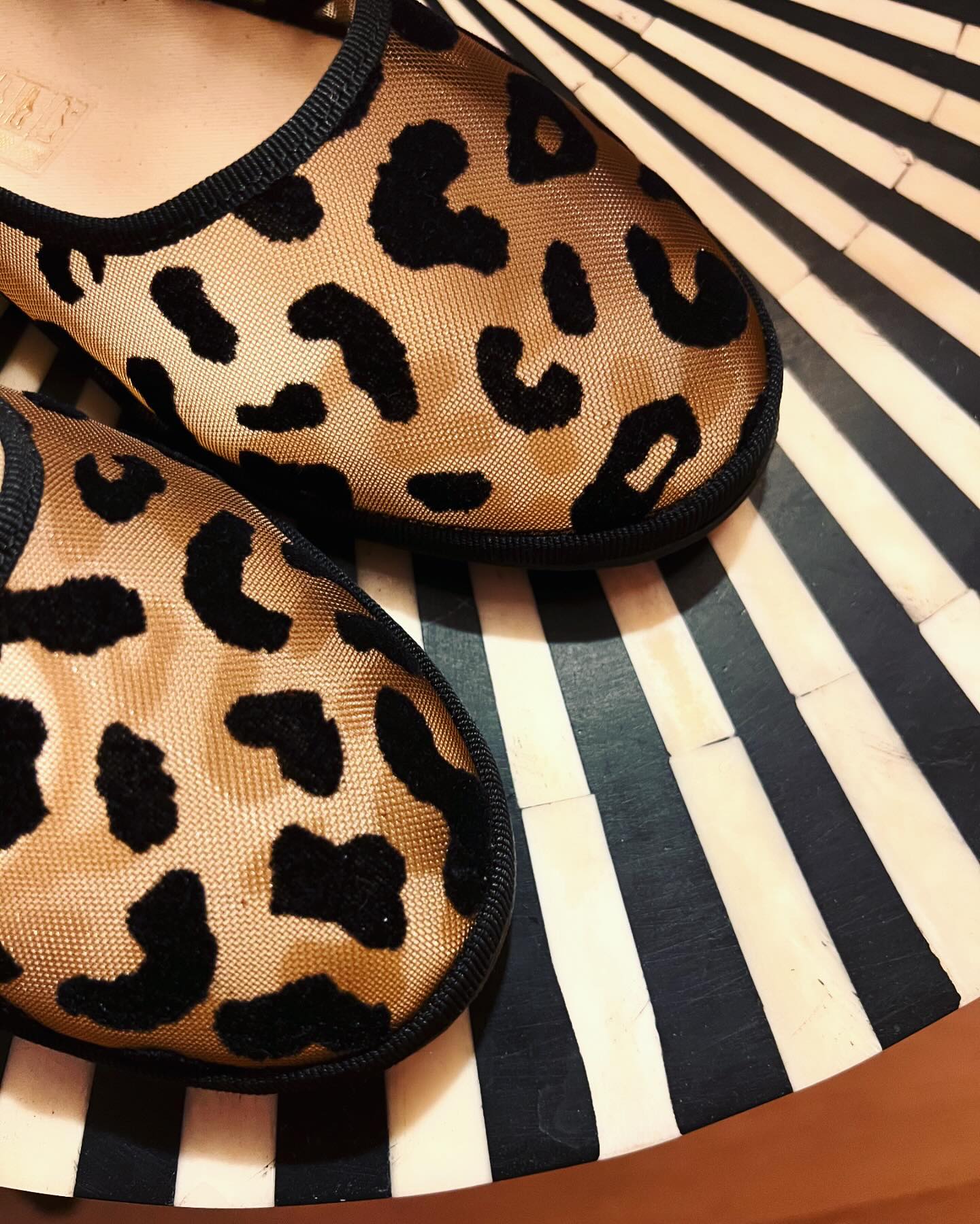 Bambina Serengeti Sheer