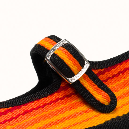 Little Bambina Juanita