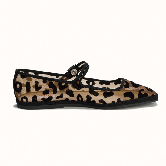 Bambinetta Serengeti Sheer