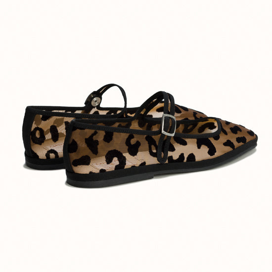 Bambinetta Serengeti Sheer