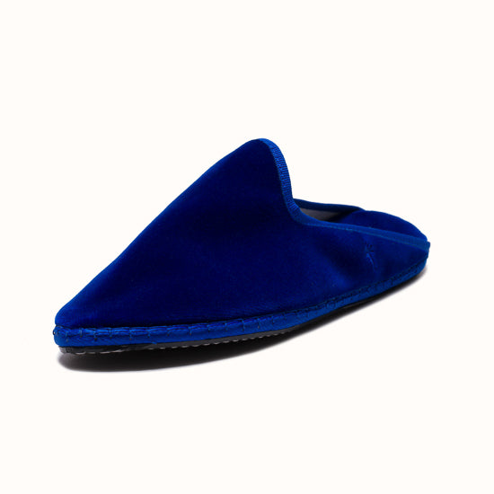 The Big Blue slippers