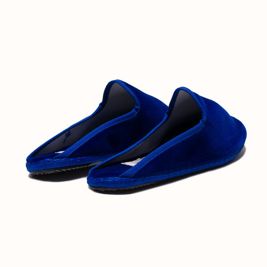 The Big Blue slippers