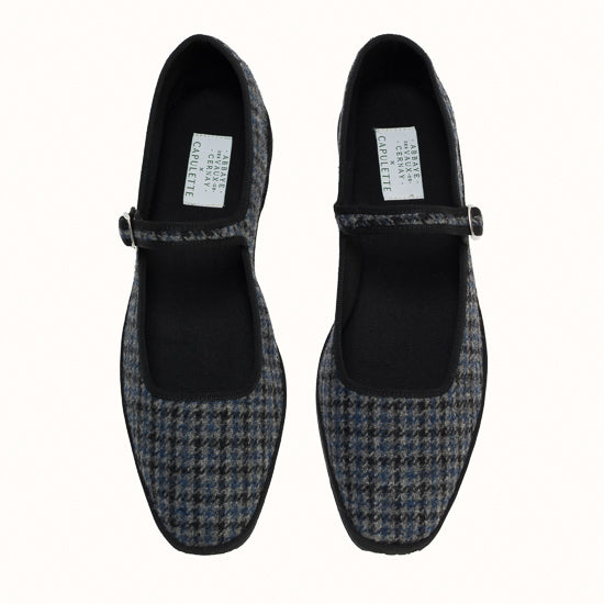 Bambinetta Scotland x Abbaye des Vaux de Cernay