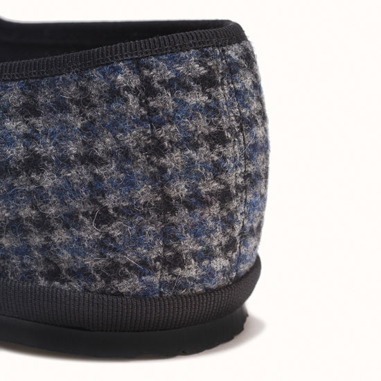 Bambinetta Scotland x Abbaye des Vaux de Cernay