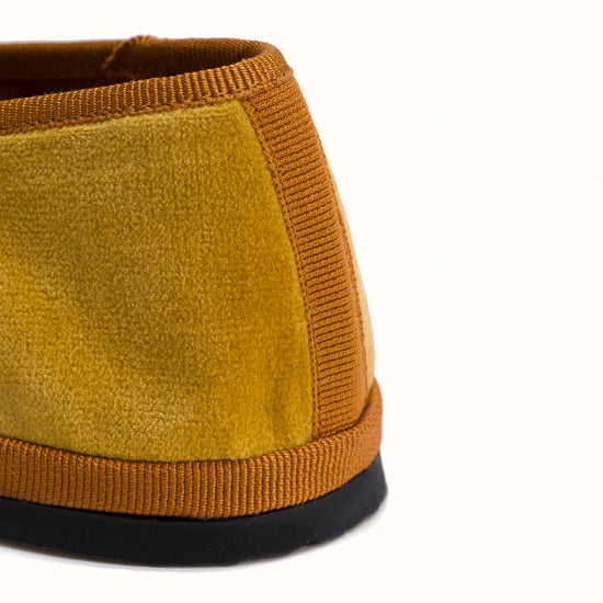 Friulane Jaune Safran