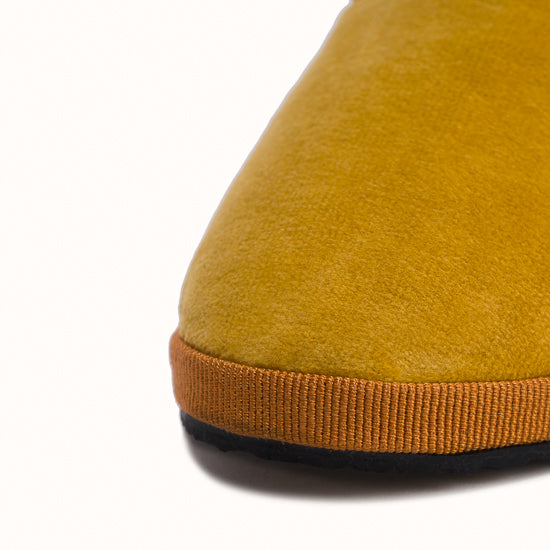 Friulane Jaune Safran