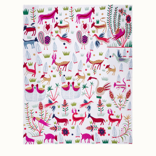 Nappe Noé